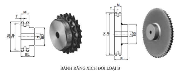 bánh răng xích đôi 35