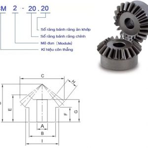 bánh răng côn thẳng tỉ số truyền 1:1