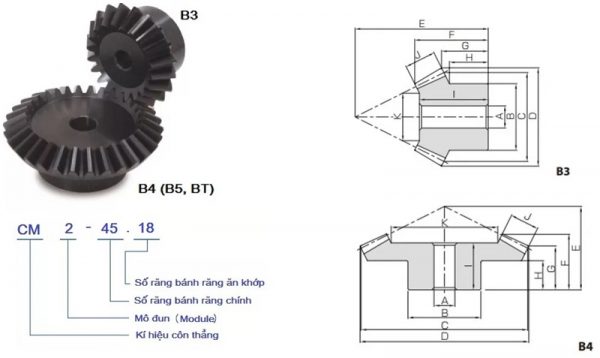 Bánh răng côn thẳng tỉ số truyền 1:2.5