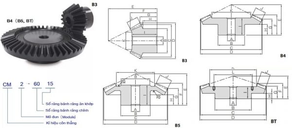 bánh răng côn thẳng tỉ số truyền 1:3