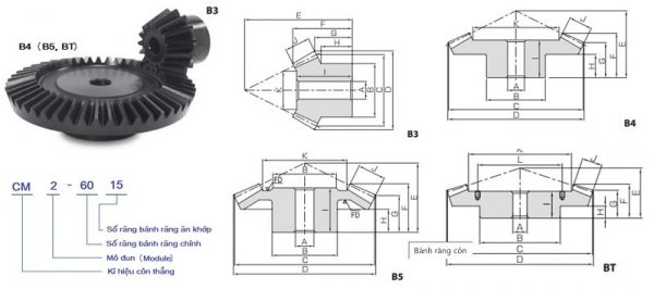 bánh răng côn thẳng tỉ số truyền 1:4
