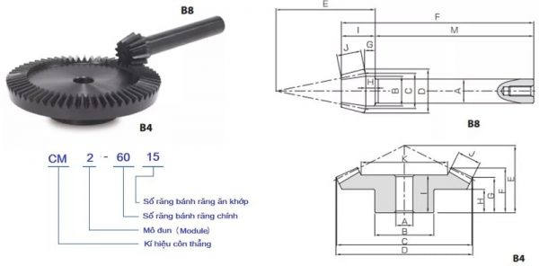 bánh răng côn thẳng tỉ số truyền 1:5